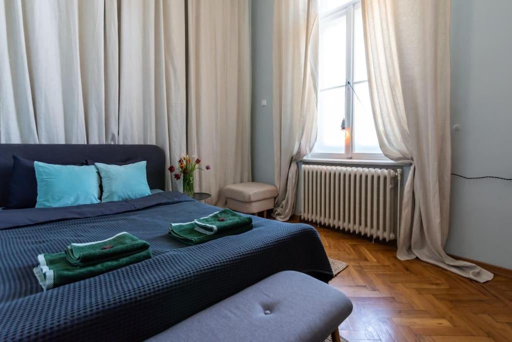 No.8: Lovely & Cosy 3-Room Heart Of The City 蒂米什瓦拉 外观 照片