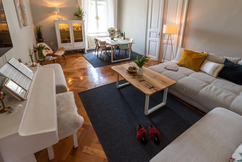 No.8: Lovely & Cosy 3-Room Heart Of The City 蒂米什瓦拉 外观 照片