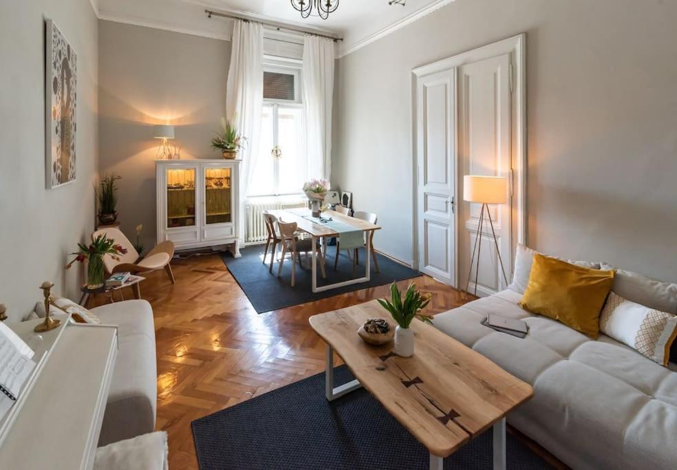 No.8: Lovely & Cosy 3-Room Heart Of The City 蒂米什瓦拉 外观 照片