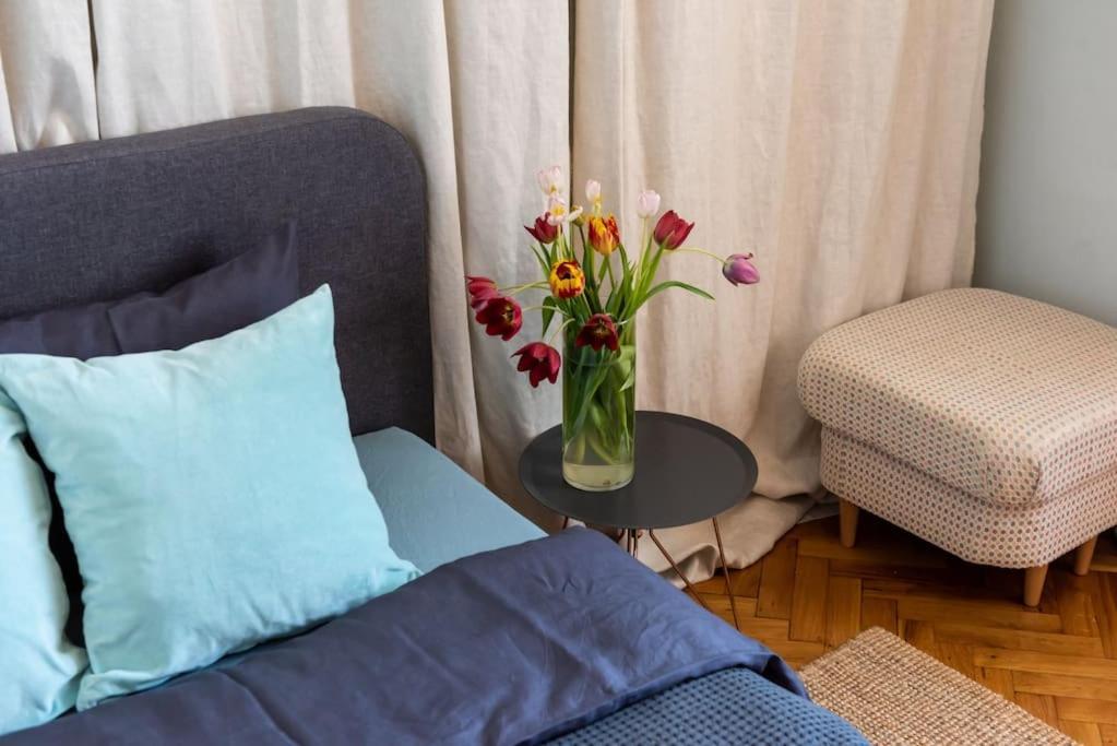 No.8: Lovely & Cosy 3-Room Heart Of The City 蒂米什瓦拉 外观 照片
