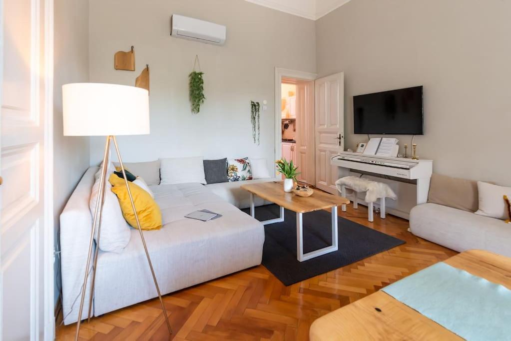 No.8: Lovely & Cosy 3-Room Heart Of The City 蒂米什瓦拉 外观 照片