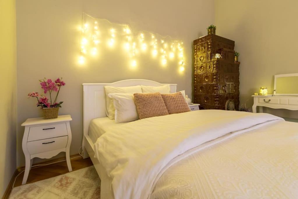 No.8: Lovely & Cosy 3-Room Heart Of The City 蒂米什瓦拉 外观 照片