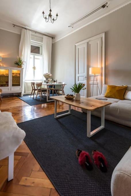 No.8: Lovely & Cosy 3-Room Heart Of The City 蒂米什瓦拉 外观 照片
